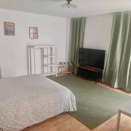 Appartement Hyper Centre Ville アラス エクステリア 写真